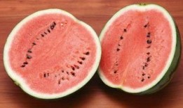 安徽网红地下室吃瓜,安徽“吃瓜”现象背后的故事