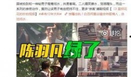 卢力徒弟爆料了吗视频播放,揭秘背后真相